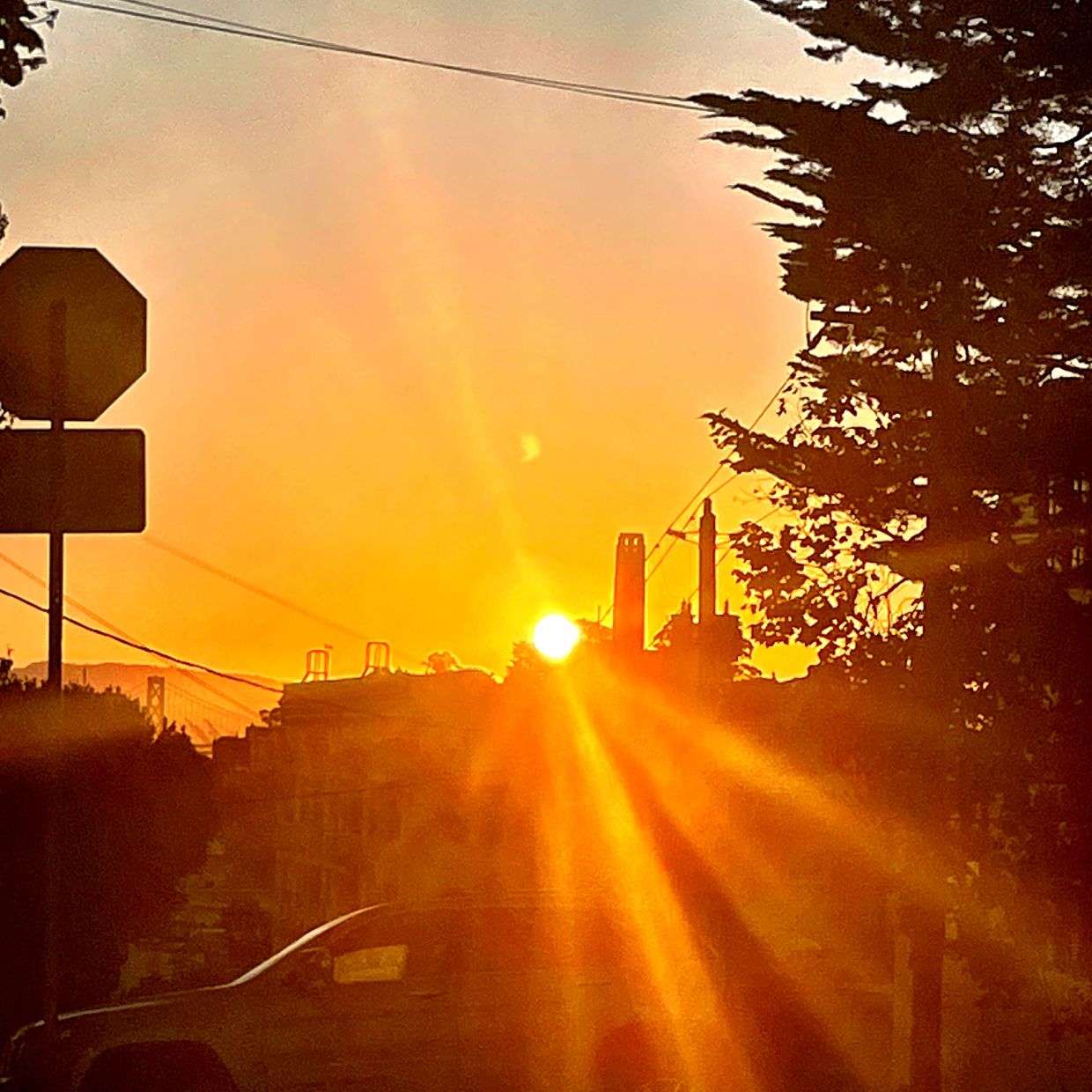 Sunset casting golden rays over a city street with silhouetted buildings and trees.