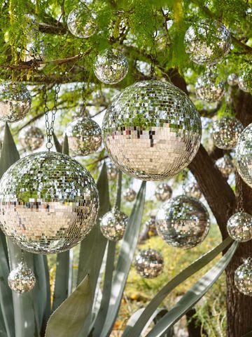 Disco balls hanging from tree branches outdoors.