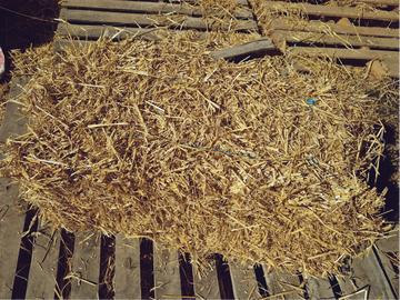 Straw bales