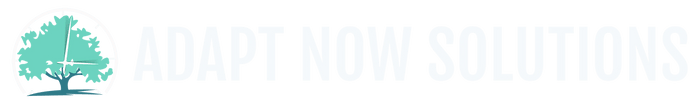 Adapt Now Solutions