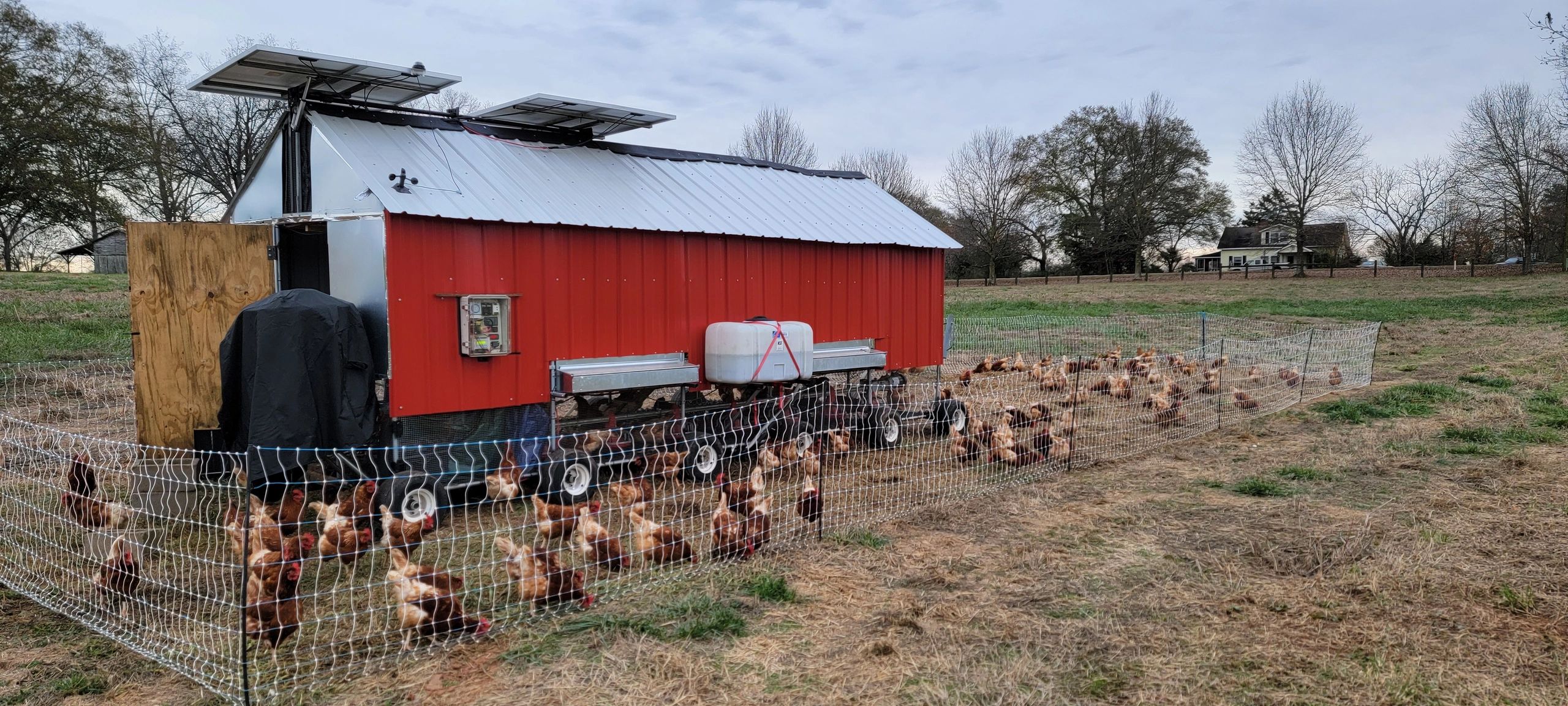 Automated Chicken Coops Chiktopia
