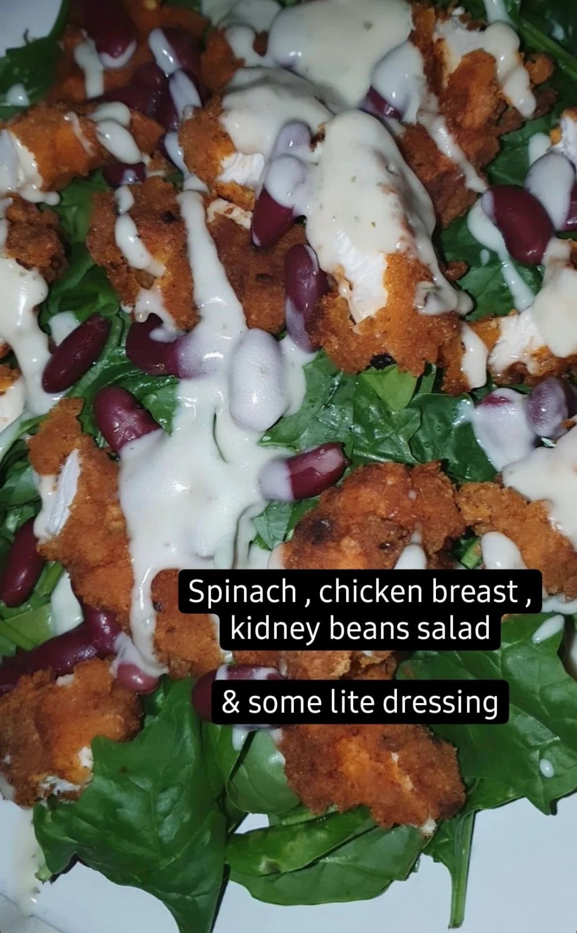 A recipe book filled with healthy alternative's to family classics including a cheat day bonus book!