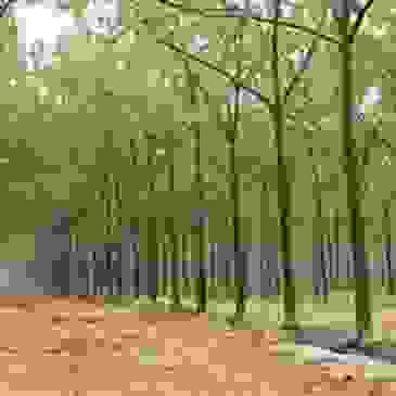 image101