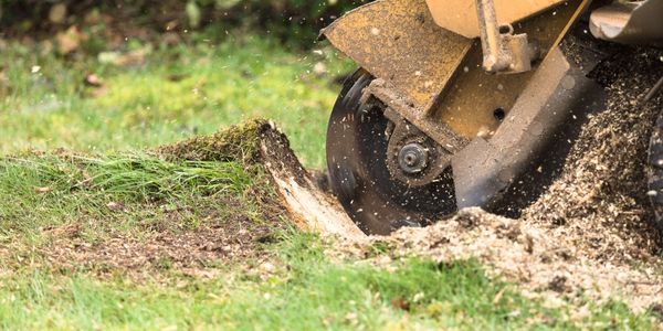 The Very Best Stump Grinding in Tyler Texas 