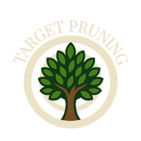 Target Pruning 