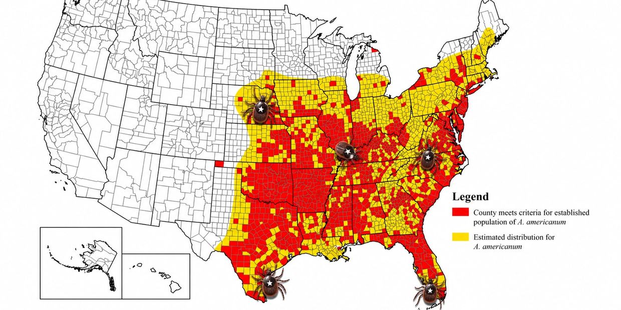 Map showing established and estimated distribution of Amblyomma americanum ticks in the U.S.