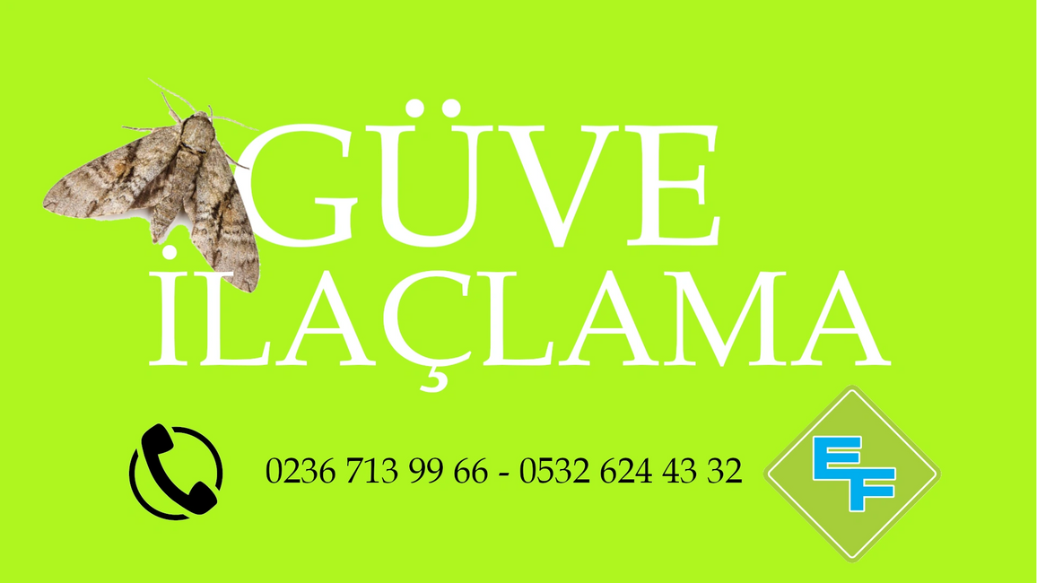 GÜVE İLAÇLAMA ELİT FEN İLAÇLAMA