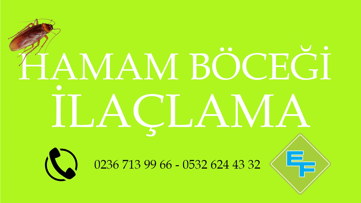 HAMAM BÖCEĞİ İLAÇLAMA ELİT FEN İLAÇLAMA