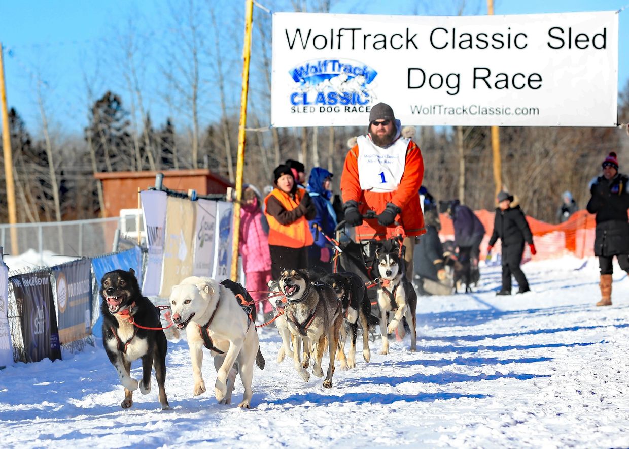 Female mushers win WolfTrack Classic races