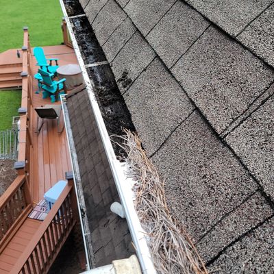 Clogged house gutter filled with dried leaves and debris.