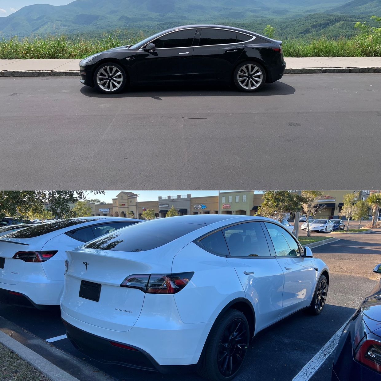 Tesla Model 3 & Tesla Model Y