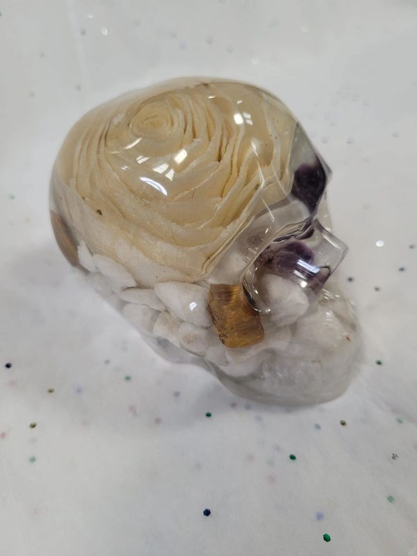 A clear skull with embedded beige wood and white stones inside.