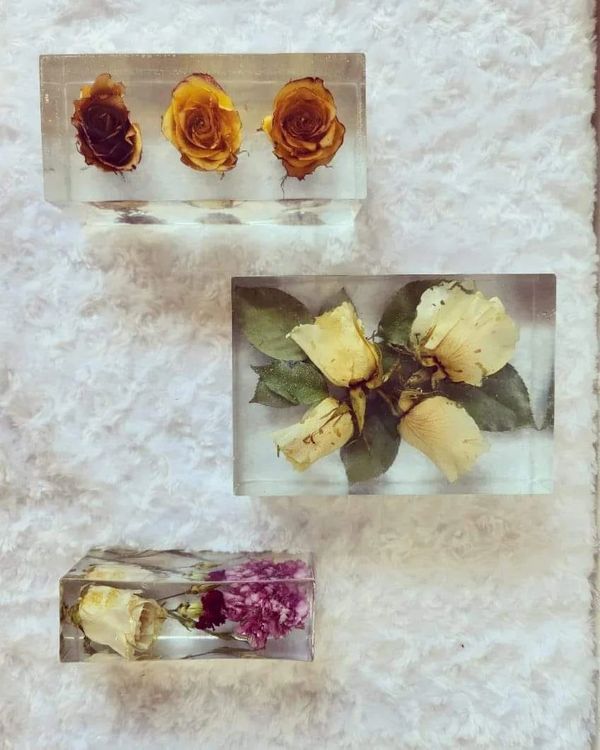 Three resin blocks with preserved dried flowers arranged on a soft white surface.