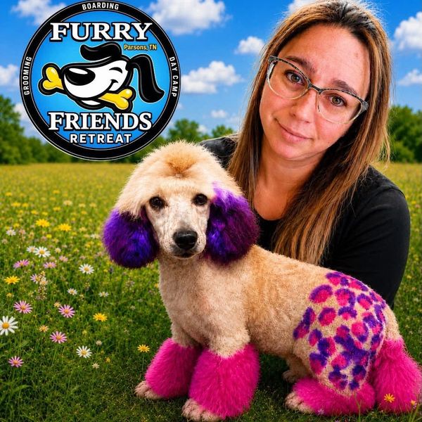 dog-grooming-groomer-parsons tn-png