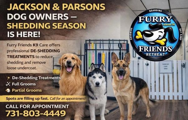Professional dog de-shedding and grooming services offered in Jackson &amp; Parsons.