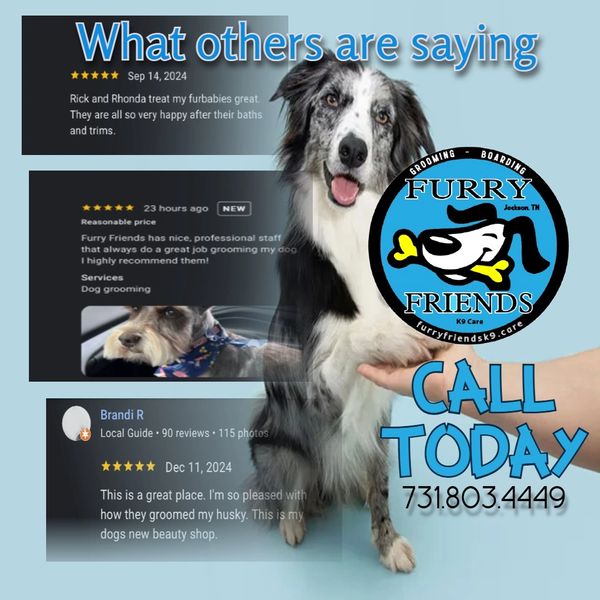 Dog grooming business ad featuring positive customer reviews and a happy dog.