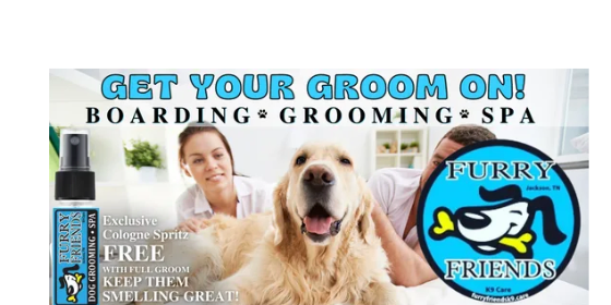 Furry Friends Furry Dog Grooming Mobile Pet Furry Friends Pet Spa