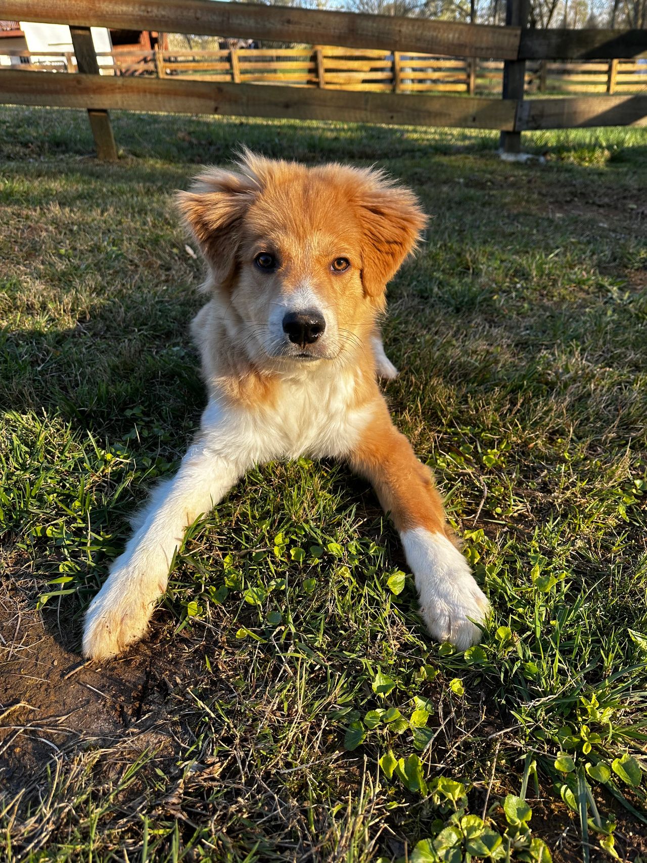 Analysis Paralysis 