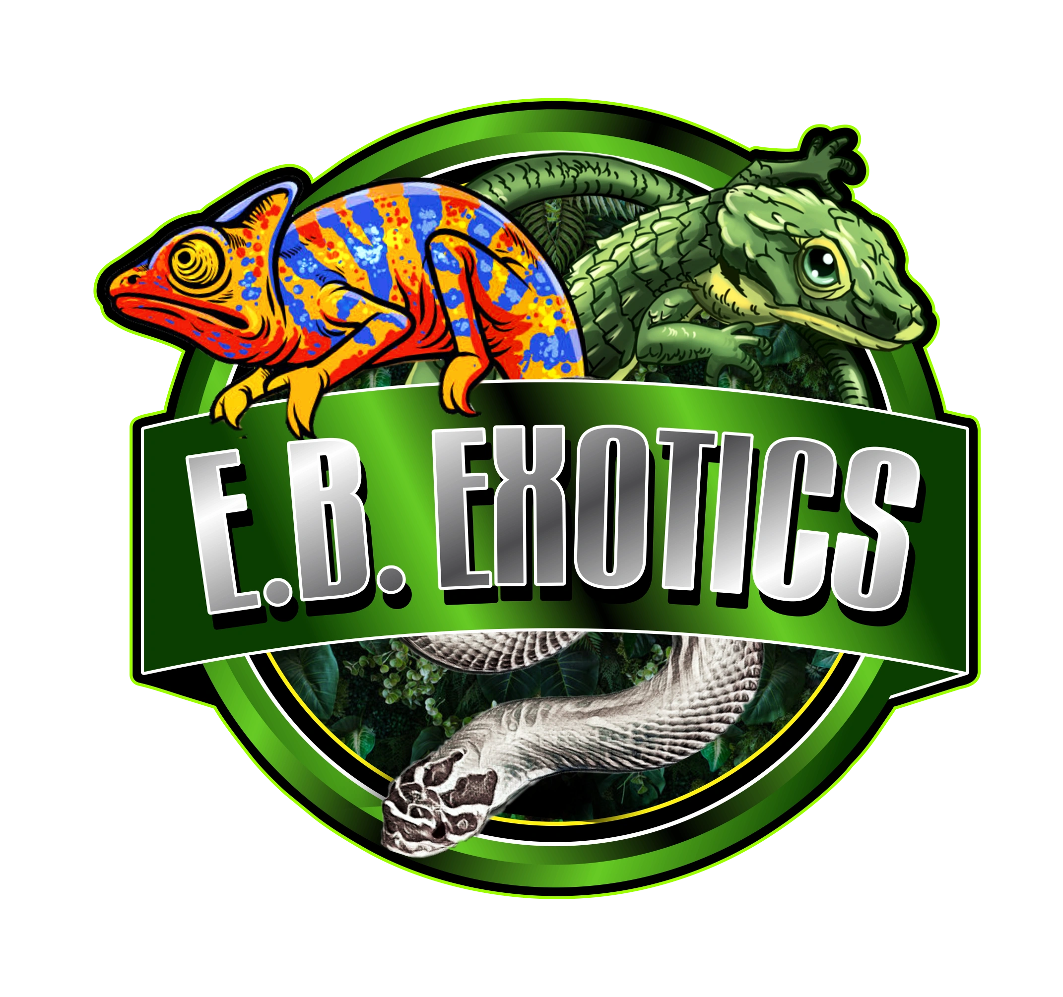 Our Setup | E. B. Exotics