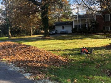 A pile of autumn leaves on a lawn with a leaf blower nearby.