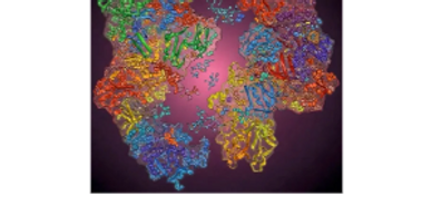 The image is generated with Open AI platform