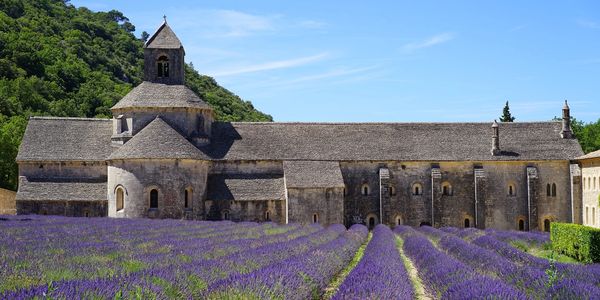 Picture of a lavender field outside a monastery taken on an excursion during a Viking River Cruise. 