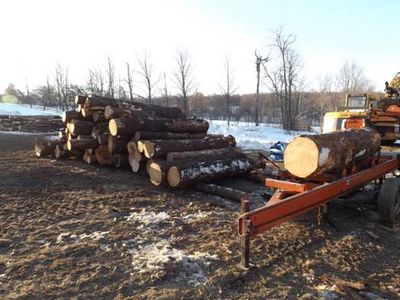 Logs on runners; ready to be sawn.