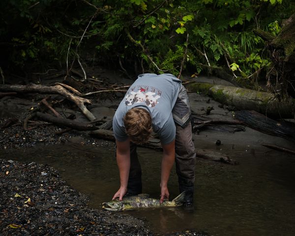 A person holding a large fish in a shallow forest stream.