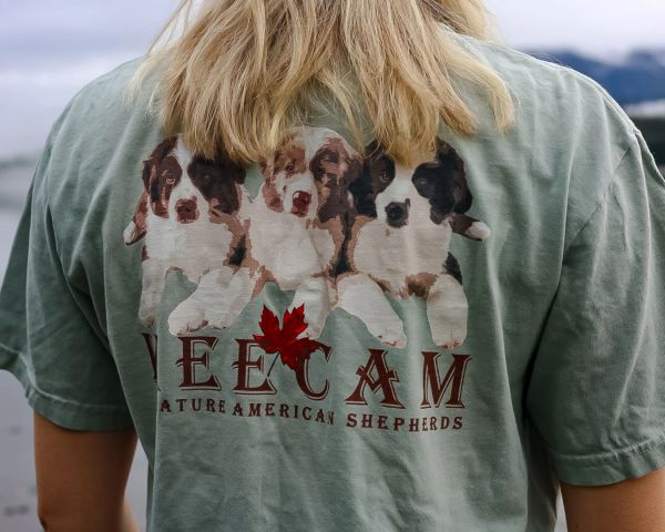 Person wearing a green tee with three puppies and text about American Shepherds.