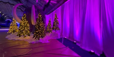 Amherst College Winterfest
