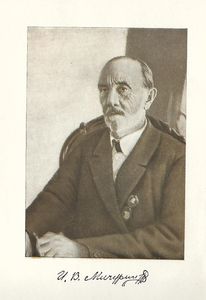 image8