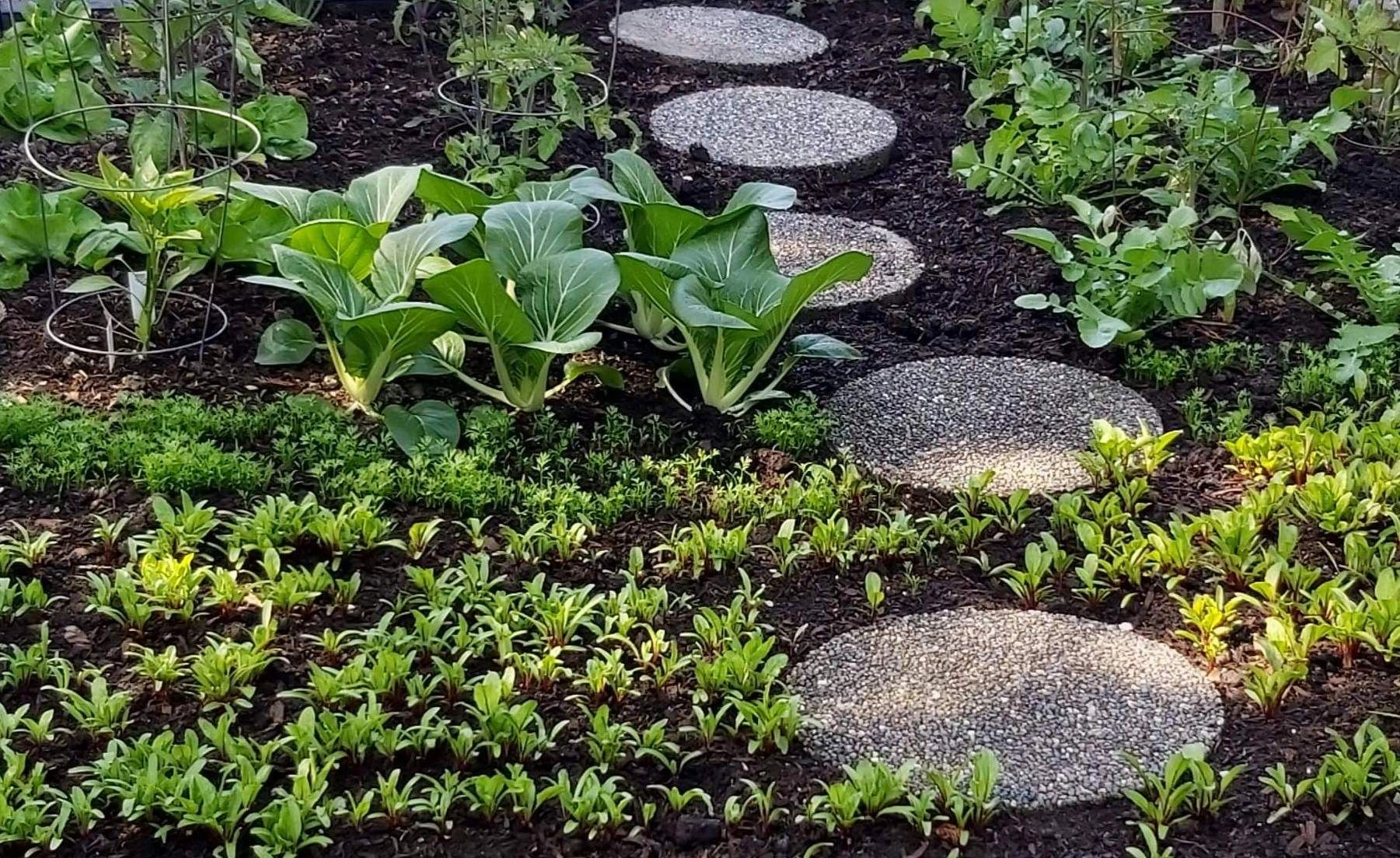 The Soil Where Brothers Bleed