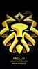 Prolux Construction Ltd