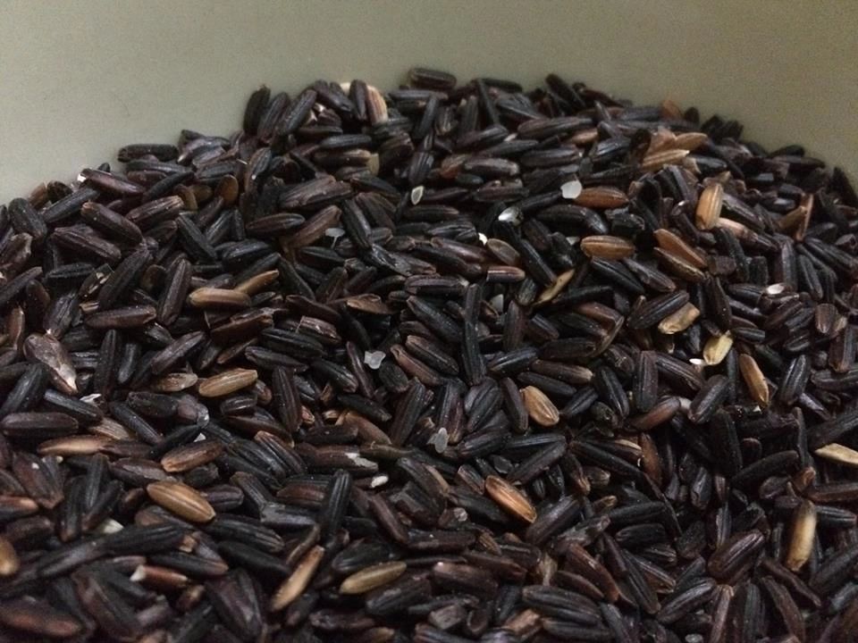 UNDERSTANDING BLACK RICE AND IT’S HEALTH BENEFITS