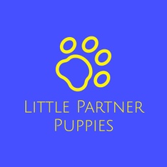 Little Partner Puppies 