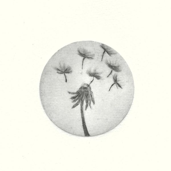 Black and white dandelion seeds blowing away.