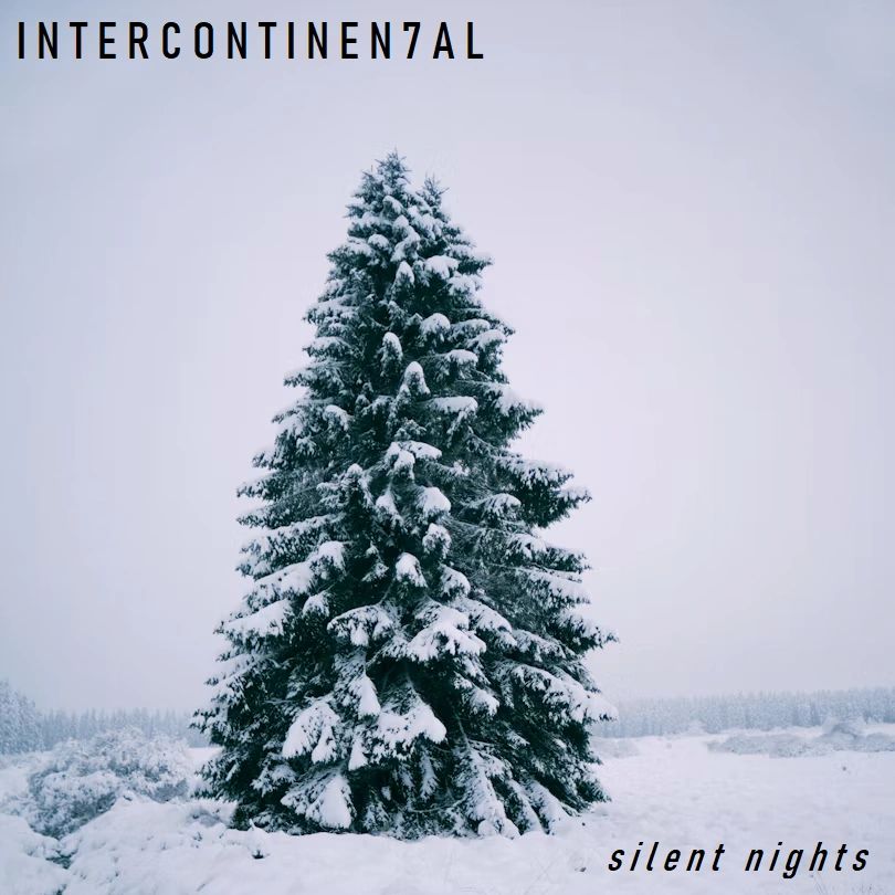 Snow-covered pine tree in a quiet winter landscape.
