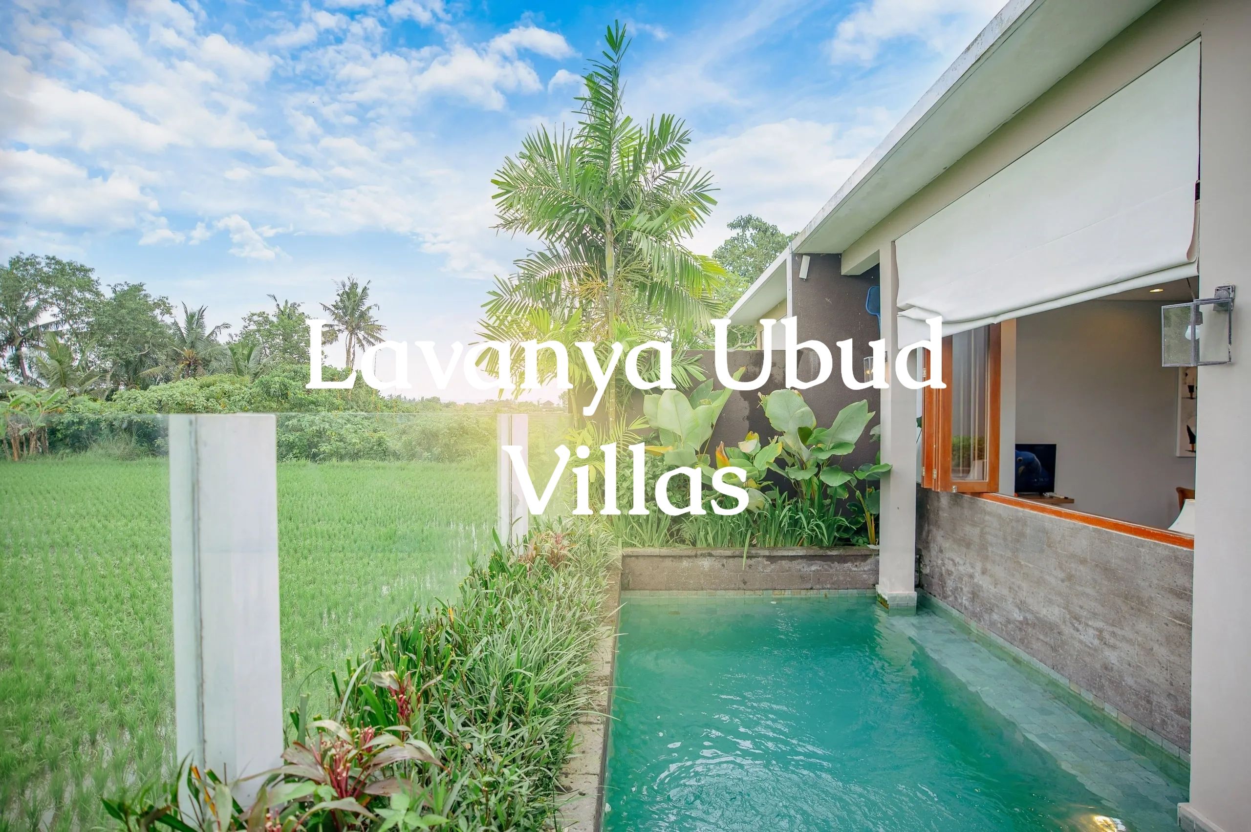 Private villa pool overlooking lush green rice fields under a blue sky.