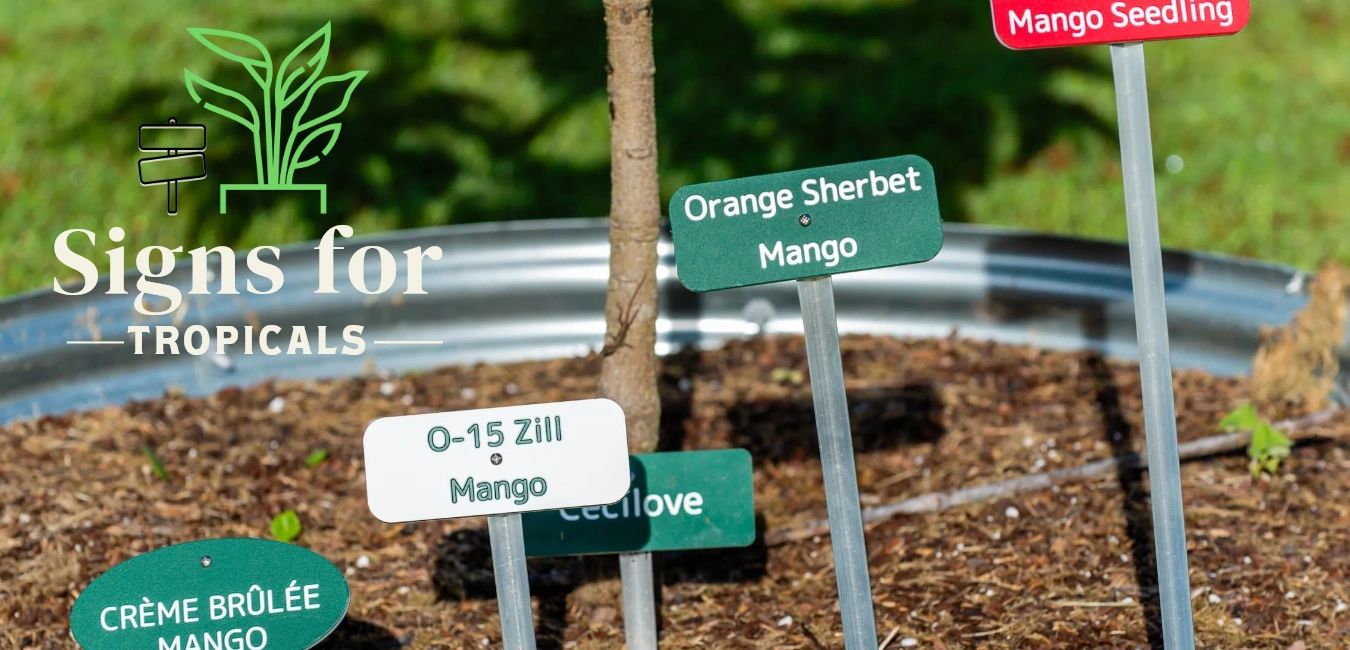 Custom Sign Plants, Hanging Signs for Plants, Different Varieties of ...