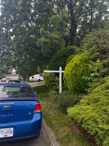 Blue Ford car parked beside a green bushy garden on a suburban street.