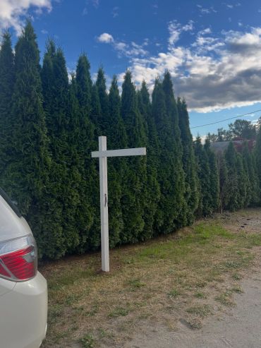 White wooden cross next to tall evergreen trees.
