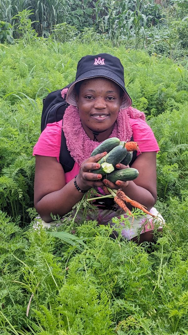 Green Income Project 