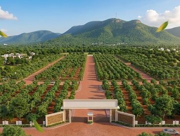 Aerial view of a green orchard with mountains in the background.