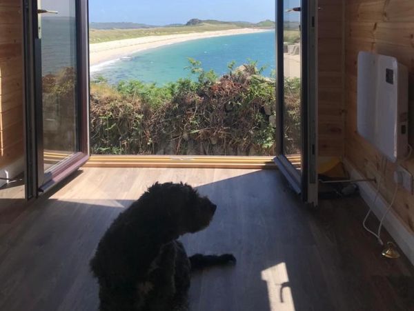 A dog sitting in a shepherd's hut on a beach