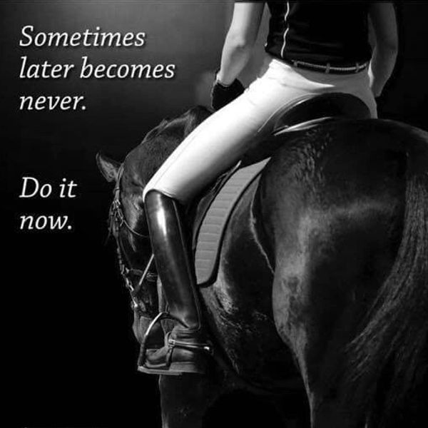 Person riding a horse with motivational text urging action now.