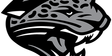 Stylized black and gray jaguar head logo with fierce expression.