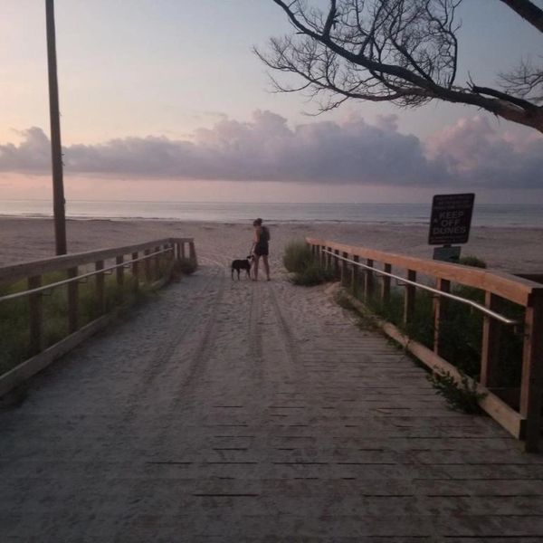 woman progressing down a path with a dog companion