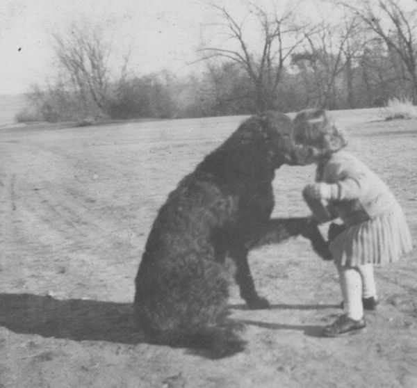 A little girl with a dog.