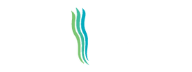 Surge Seaweed