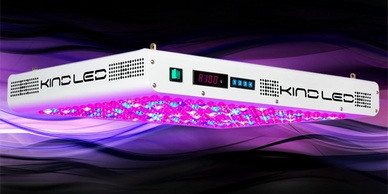 kind led, led, k300, lighting, grow light, xl750, xl1000, 